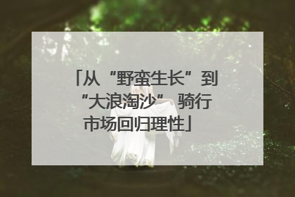 从“野蛮生长”到“大浪淘沙” 骑行市场回归理性