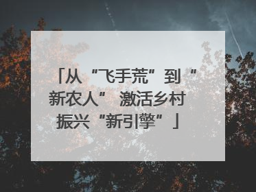 从“飞手荒”到“新农人” 激活乡村振兴“新引擎”