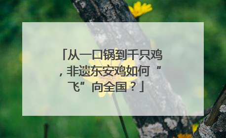 从一口锅到千只鸡，非遗东安鸡如何“飞”向全国？