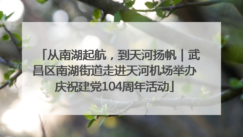 从南湖起航，到天河扬帆｜武昌区南湖街道走进天河机场举办庆祝建党104周年活动
