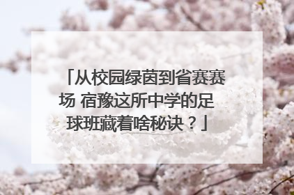 从校园绿茵到省赛赛场 宿豫这所中学的足球班藏着啥秘诀？