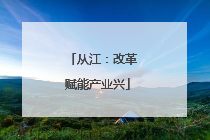 从江：改革赋能产业兴