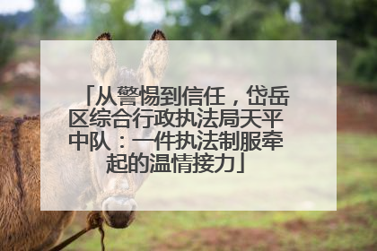从警惕到信任，岱岳区综合行政执法局天平中队：一件执法制服牵起的温情接力
