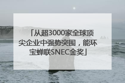 从超3000家全球顶尖企业中强势突围，能环宝蝉联SNEC金奖