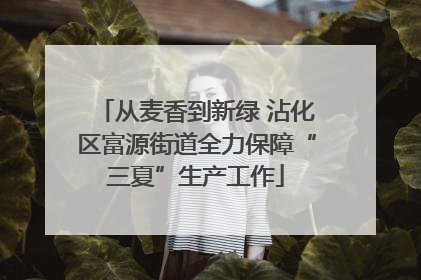从麦香到新绿 沾化区富源街道全力保障“三夏”生产工作