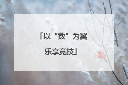 以“数”为翼 乐享竞技