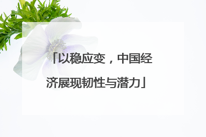 以稳应变，中国经济展现韧性与潜力