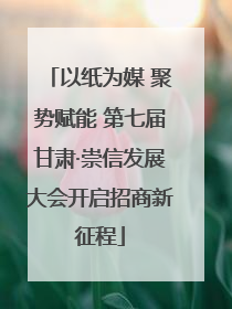 以纸为媒 聚势赋能 第七届甘肃·崇信发展大会开启招商新征程