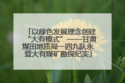 以绿色发展理念创建“大有模式”——甘肃煤田地质局一四九队永登大有煤矿勘探纪实