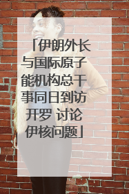 伊朗外长与国际原子能机构总干事同日到访开罗 讨论伊核问题
