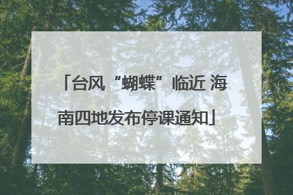 台风“蝴蝶”临近 海南四地发布停课通知