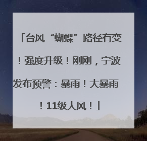 台风“蝴蝶”路径有变！强度升级！刚刚，宁波发布预警：暴雨！大暴雨！11级大风！