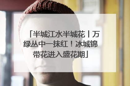 半城江水半城花丨万绿丛中一抹红！冰城锦带花进入盛花期