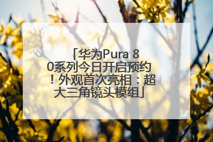 华为Pura 80系列今日开启预约！外观首次亮相：超大三角镜头模组