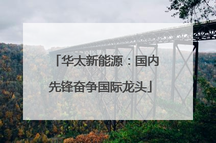 华太新能源：国内先锋奋争国际龙头