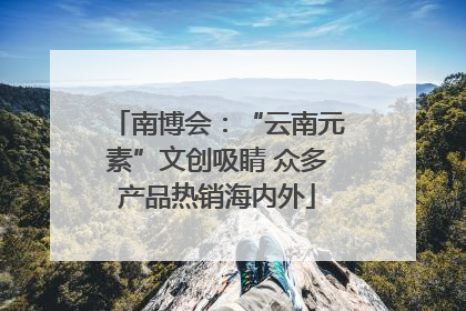 南博会：“云南元素”文创吸睛 众多产品热销海内外