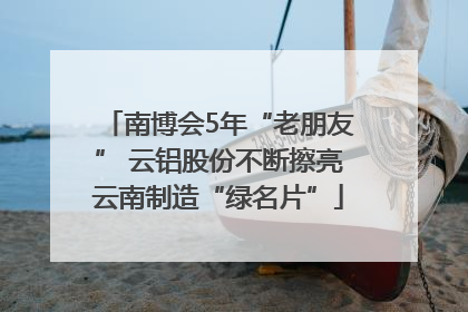 南博会5年“老朋友” 云铝股份不断擦亮云南制造“绿名片”