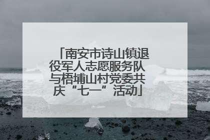 南安市诗山镇退役军人志愿服务队与梧埔山村党委共庆“七一”活动