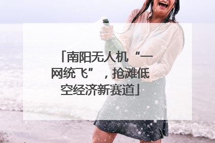 南阳无人机“一网统飞”，抢滩低空经济新赛道