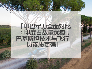 印巴军力全面对比：印度占数量优势，巴基斯坦技术与飞行员素质更强