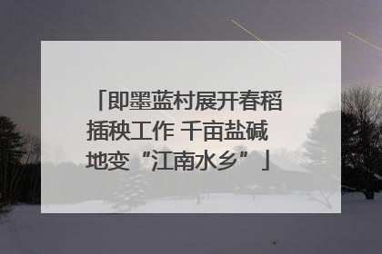 即墨蓝村展开春稻插秧工作 千亩盐碱地变“江南水乡”