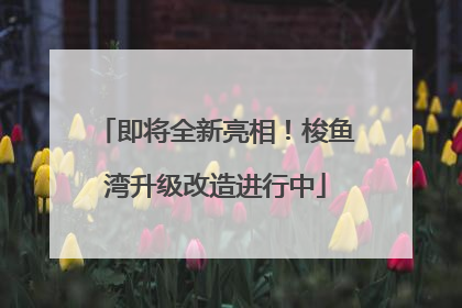 即将全新亮相！梭鱼湾升级改造进行中