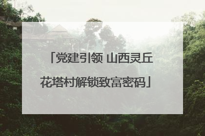 党建引领 山西灵丘花塔村解锁致富密码