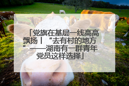 党旗在基层一线高高飘扬丨“去有村的地方”——湖南有一群青年党员这样选择