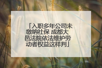 入职多年公司未缴纳社保 成都大邑法院依法维护劳动者权益这样判