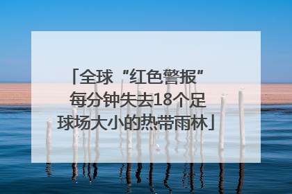 全球“红色警报”  每分钟失去18个足球场大小的热带雨林