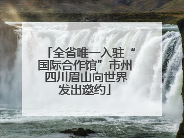 全省唯一入驻“国际合作馆”市州 四川眉山向世界发出邀约