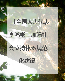 全国人大代表李鸿彬：加强社会支持体系规范化建设