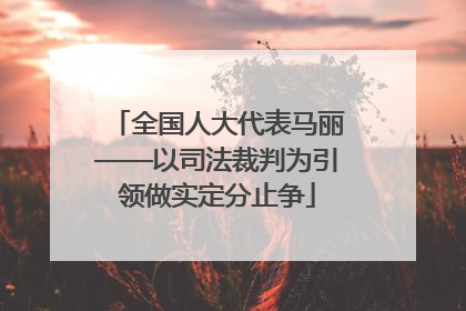 全国人大代表马丽——以司法裁判为引领做实定分止争