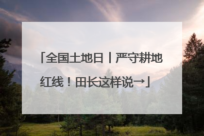全国土地日丨严守耕地红线！田长这样说→
