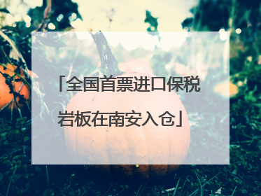 全国首票进口保税岩板在南安入仓