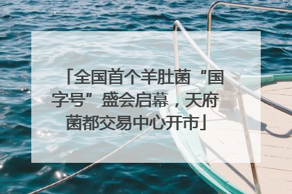 全国首个羊肚菌“国字号”盛会启幕，天府菌都交易中心开市