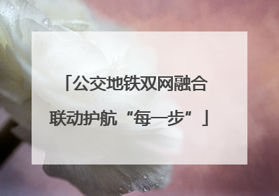 公交地铁双网融合 联动护航“每一步”