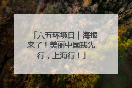 六五环境日｜海报来了！美丽中国我先行，上海行！