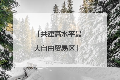 共建高水平最大自由贸易区