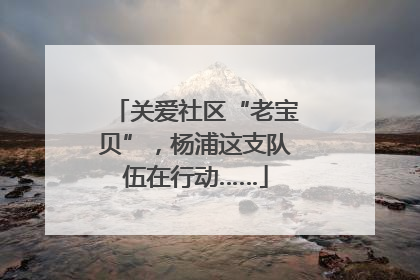 关爱社区“老宝贝”，杨浦这支队伍在行动……