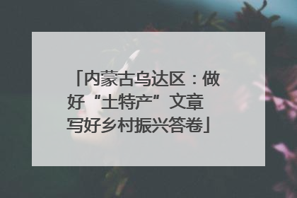 内蒙古乌达区：做好“土特产”文章 写好乡村振兴答卷