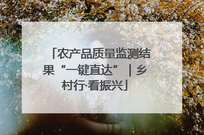 农产品质量监测结果“一键直达”｜乡村行·看振兴