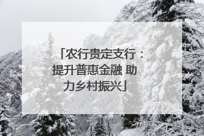 农行贵定支行：提升普惠金融 助力乡村振兴