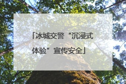 冰城交警“沉浸式体验”宣传安全