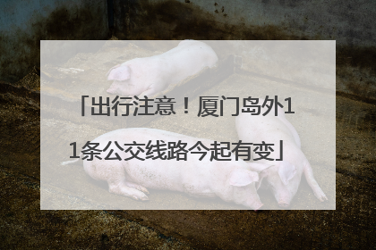 出行注意！厦门岛外11条公交线路今起有变