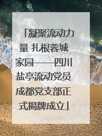 凝聚流动力量 扎根蓉城家园——四川盐亭流动党员成都党支部正式揭牌成立