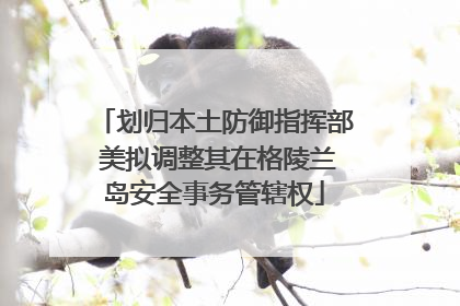 划归本土防御指挥部 美拟调整其在格陵兰岛安全事务管辖权