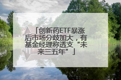 创新药ETF暴涨后市场分歧加大，有基金经理称透支“未来三五年”