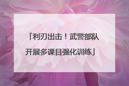 利刃出击！武警部队开展多课目强化训练