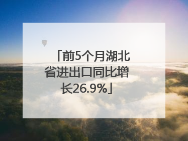 前5个月湖北省进出口同比增长26.9%